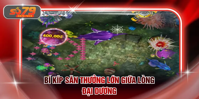 Bí kíp săn thưởng lớn giữa lòng đại dương