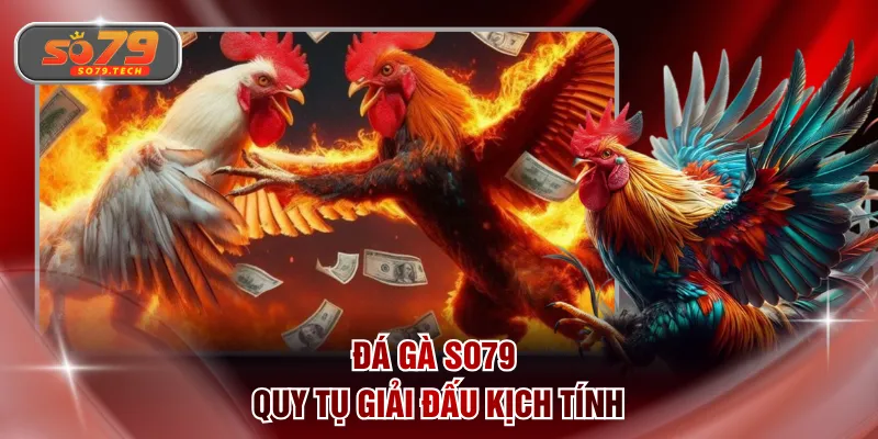 Đá gà SO79 quy tụ giải đấu kịch tính